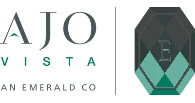 Ajovista, LLC Ajovista, LLC logo