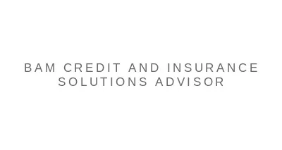 Bam Credit and Insurance Solutions Advisor LLC Bam Credit and Insurance Solutions Advisor LLC logo
