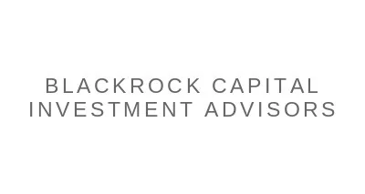 BlackRock Capital Investment Advisors, LLC BlackRock Capital Investment Advisors, LLC logo