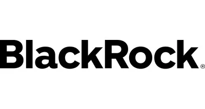 BlackRock Investment Management, LLC BlackRock Investment Management, LLC logo
