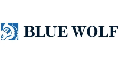 Blue Wolf Capital Partners LLC Blue Wolf Capital Partners LLC logo