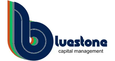Bluestone Capital Management, LLC Bluestone Capital Management, LLC logo