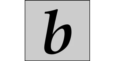 Braeside Investments, LLC Braeside Investments, LLC logo