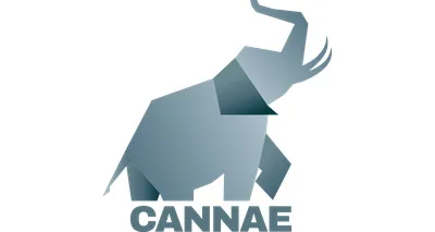 Cannae Portfolio Advisors, LLC Cannae Portfolio Advisors, LLC logo