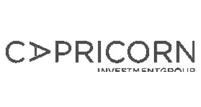 Capricorn Investment Group LLC Capricorn Investment Group LLC logo