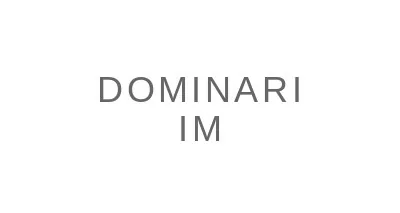 Dominari Im LLC Dominari Im LLC logo