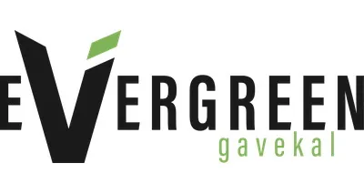 Evergreen Capital Management LLC Evergreen Capital Management LLC logo