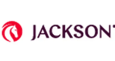 Jackson National Asset Management, LLC Jackson National Asset Management, LLC logo
