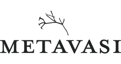Metavasi Capital LP Metavasi Capital LP logo