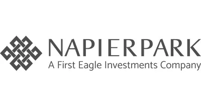 Napier Park Global Capital Ltd Napier Park Global Capital Ltd logo