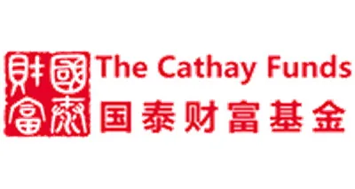 New China Capital Management Corp. New China Capital Management Corp. logo