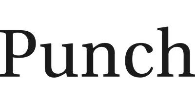 Punch & Associates Investment Management, Inc. Punch & Associates Investment Management, Inc. logo