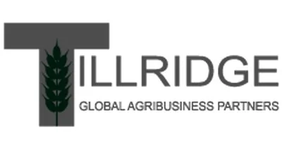 Tillridge Capital Partners, LLC Tillridge Capital Partners, LLC logo