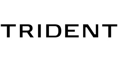Trident Management LLC Trident Management LLC logo
