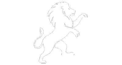 Twin Lions Management LLC Twin Lions Management LLC logo
