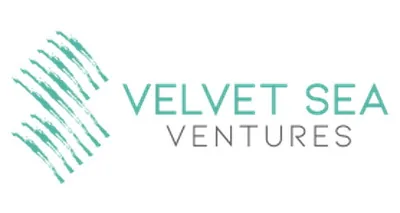 Vsv Management, LLC Vsv Management, LLC logo